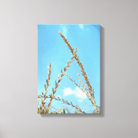Corn Tassel