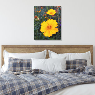 Toile Cosmos Orange Dans La Photo Avant-Plan