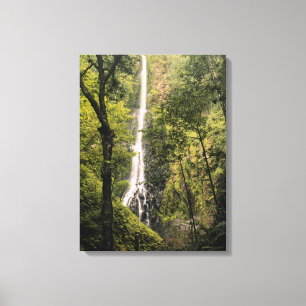 Toile Costa Rica, île Cocos, Cascade de la baie Wafer