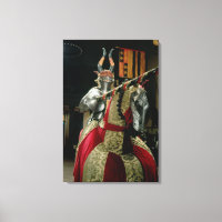 Costume d'armure et armure de cheval assortie