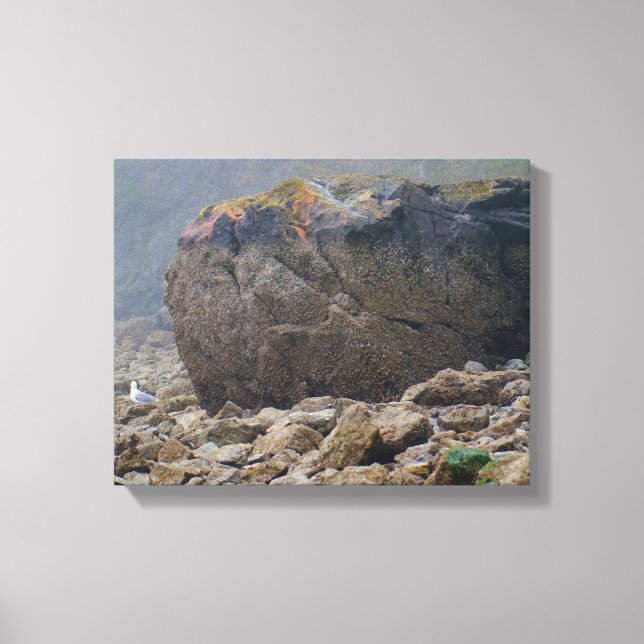 Toile Côte, plage rocheuse, rocher, bord de mer, unique (Recto)