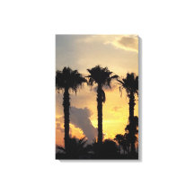 Coucher de soleil à Limassol Chypre – Palmiers méd