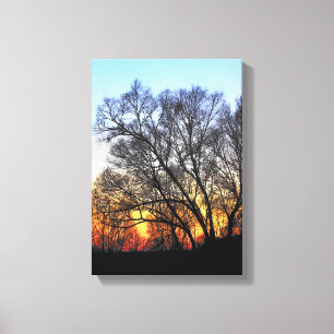 Toile Coucher De Soleil À Travers Les Arbres