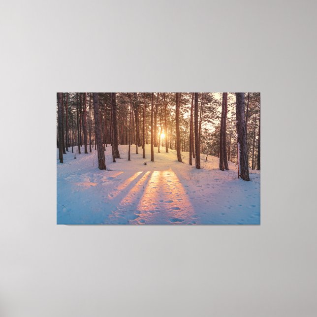 Toile Coucher de soleil dans la pinède d'hiver (Recto)