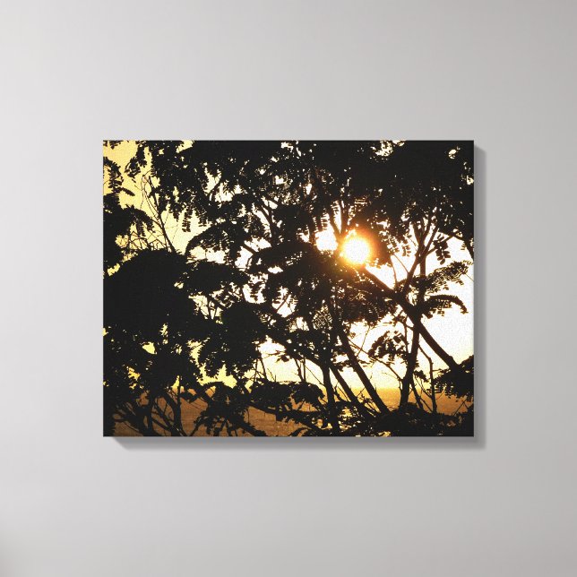 Toile Coucher du soleil à travers les arbres I Photograp (Recto)