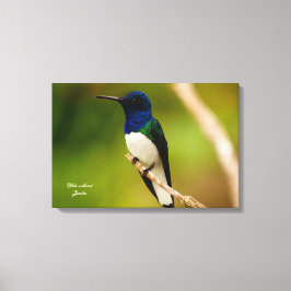 Toile Couleur de la contemplation