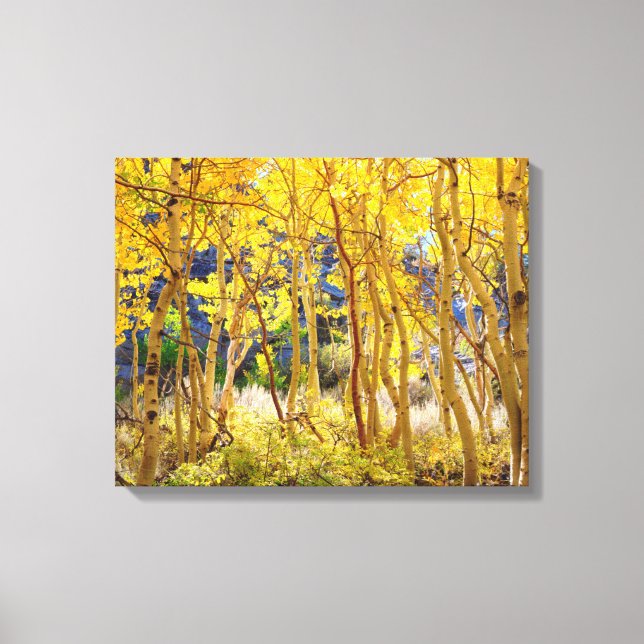 Toile Couleurs automnales des arbres d'Aspen 3 (Recto)