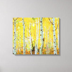 Toile Couleurs d'automne des arbres d'Aspen 1