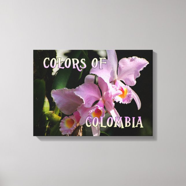 Toile Couleurs de la Colombie Cattleya Orchid (Recto)
