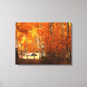 Toile Couleurs enveloppées d'automne d'Aspen de cabine