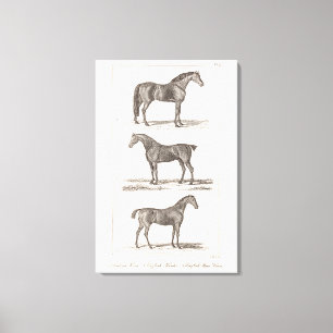 Toile Course Arabe de chasseur de 1800s races vintages