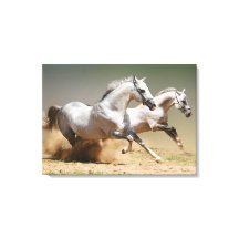 Course des chevaux du vent