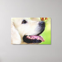 Coussin décoratif Labrador et papillon