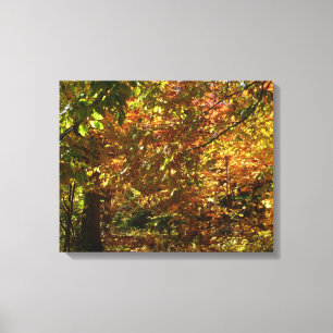 Toile Couvert de feuilles d'automne II Photographie d'au