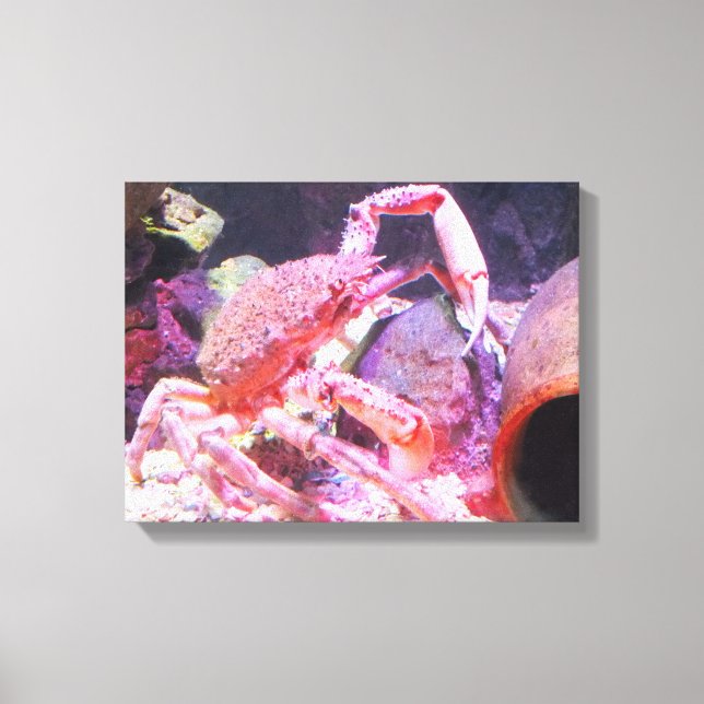 Toile Crabe araignée (Recto)