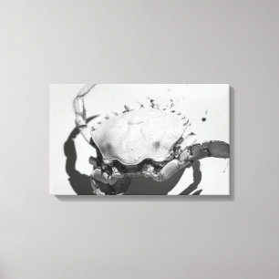 Toile Crabe océanique Monochrome Noir Et Blanc