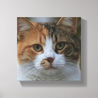Toile Créez Votre Propre Photo de Chat Personnalisée