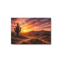 Crépuscule du désert : le majestueux saguaro