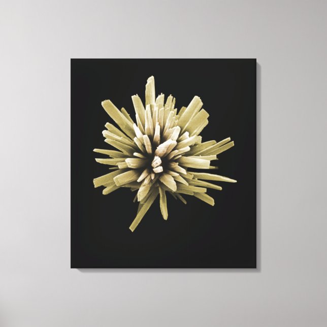 Toile Cristal détergent (Recto)