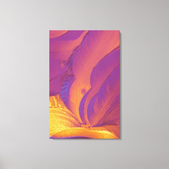 Toile Cristaux d'acide tartrique (Recto)