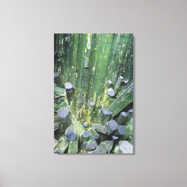 Toile cristaux Elbaite de Tourmaline sur Quartz (Recto)