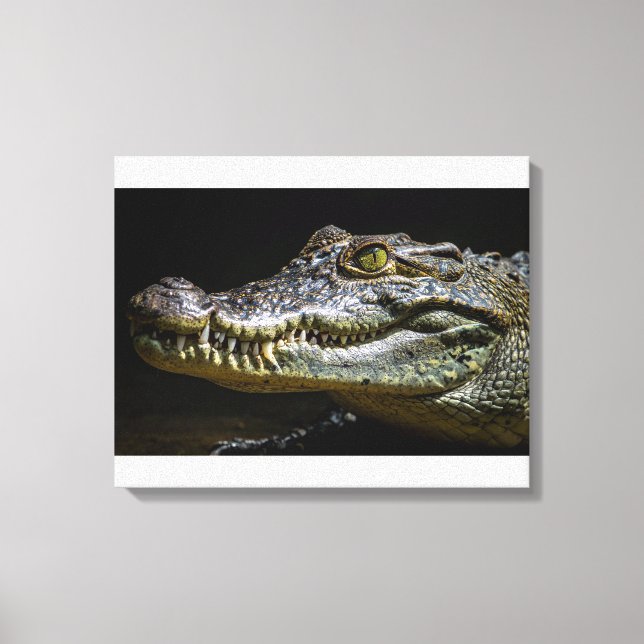 Toile Crocodile (Recto)