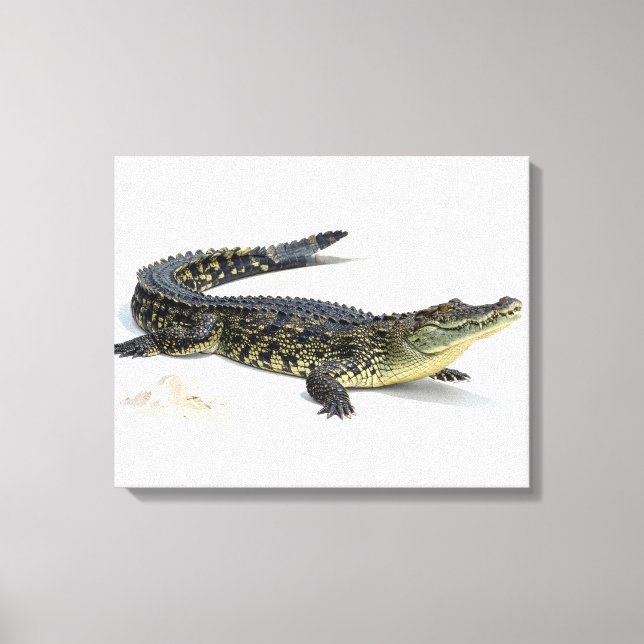 Toile Crocodile (Recto)