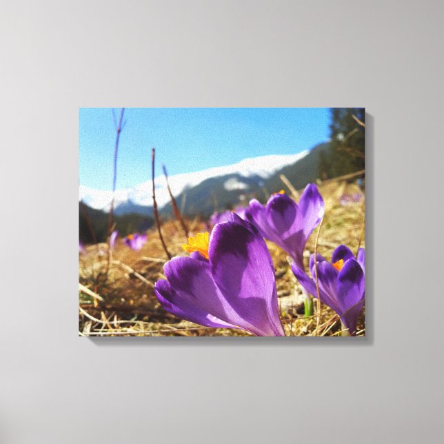 Toile Crocus, Tatras (Recto)