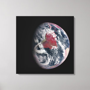 Toile Croissance plante Sur La Planète Terre.