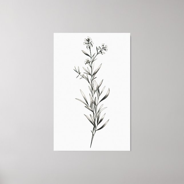 Toile Croquis monochrome simple (Recto)