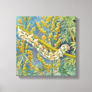 Toile Cucullia Absinthii Wormwood