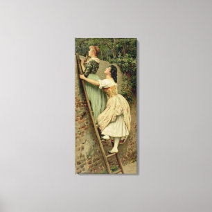 Toile Curiosity, from the Pears Annual, Noël, 1892