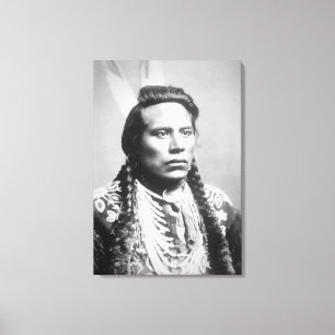 Toile Curley, de la tribu Crow, l'un des scouts de Custe