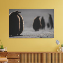 Cute Baby Pingouin | unique