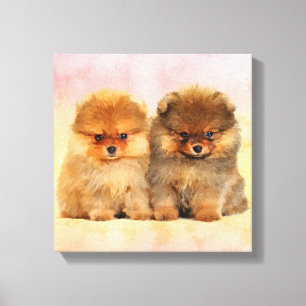 Toile Cute Pomeranian Allemand Spitz Puppies