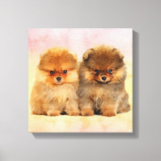 Toile Cute Pomeranian Allemand Spitz Puppies