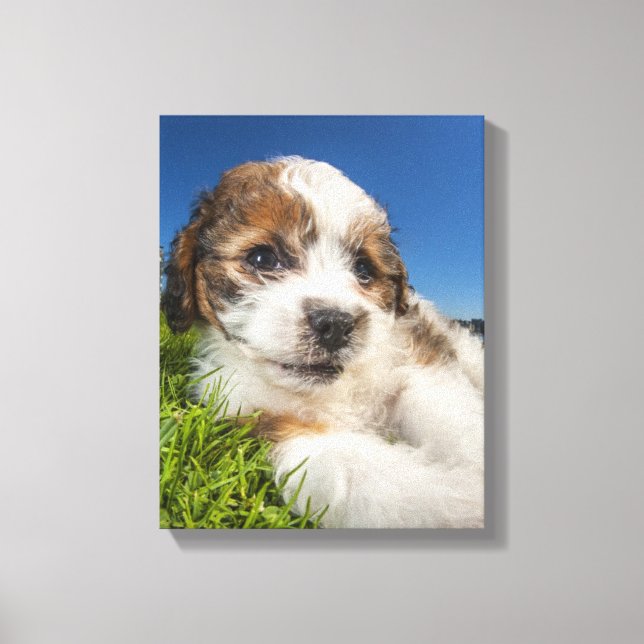 Toile Cute puppy dog (Recto)