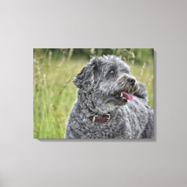 Toile Cute Terrier Chien (Recto)