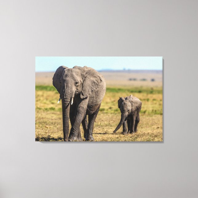 Toile Cutest Baby Animals | Elephant Mother & Baby (Recto)
