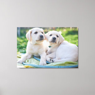 Toile Cutest Baby Animals   Yellow Labrador Retrievers