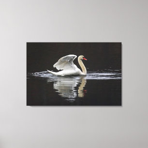 Toile Cygne et réflexions