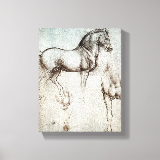Toile Da Vinci Horse Study Renaissance Sketch Art (Recto)