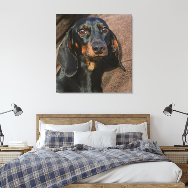 Toile dachshund noir et tan (Insitu(Chambre))