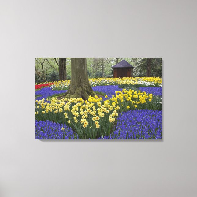 Toile Daffodiles, jacinthe de raisin et jardin de tulipe (Recto)