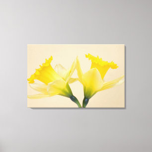 Toile Daffodique jaune