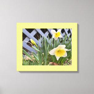 Toile Daffodiques jaunes #2
