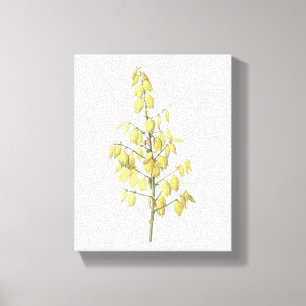 Toile Dagger espagnol (Yucca gloriosa) par Redouté
