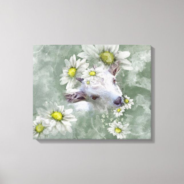 Toile Daisy the Baby Chèvre Aquarelle Portrait 2 (Recto)