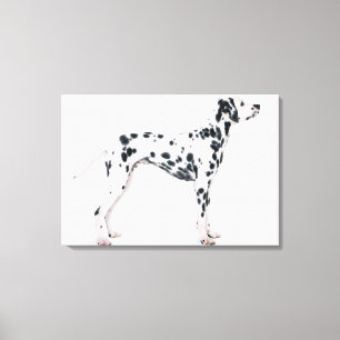 Toile Dalmatien 2