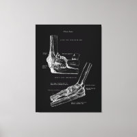 Toile d'anatomie commune du coude
